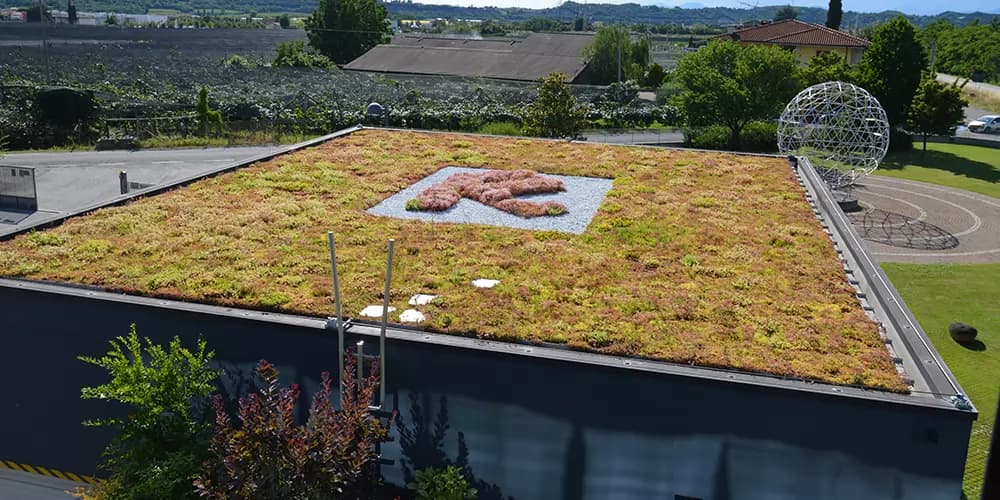 Riverclack Green Roof
